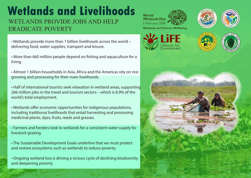 Infographics for World Wetlands Day 2024 by FRI EIACP